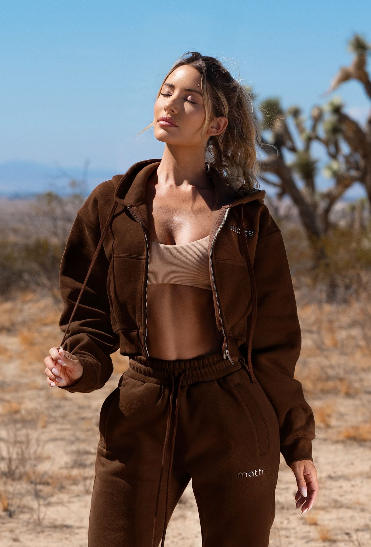 Staple Cropped Hoodie - Chocolate