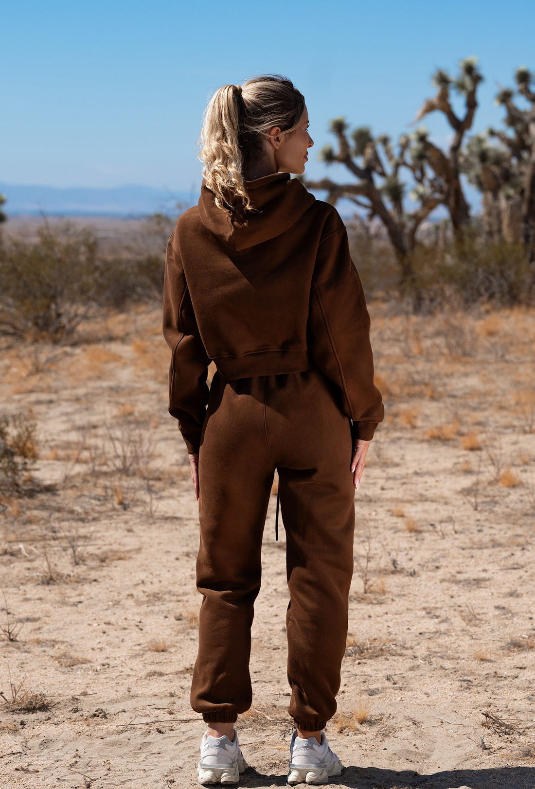 Staple Cropped Pullover Hoodie - Chocolate