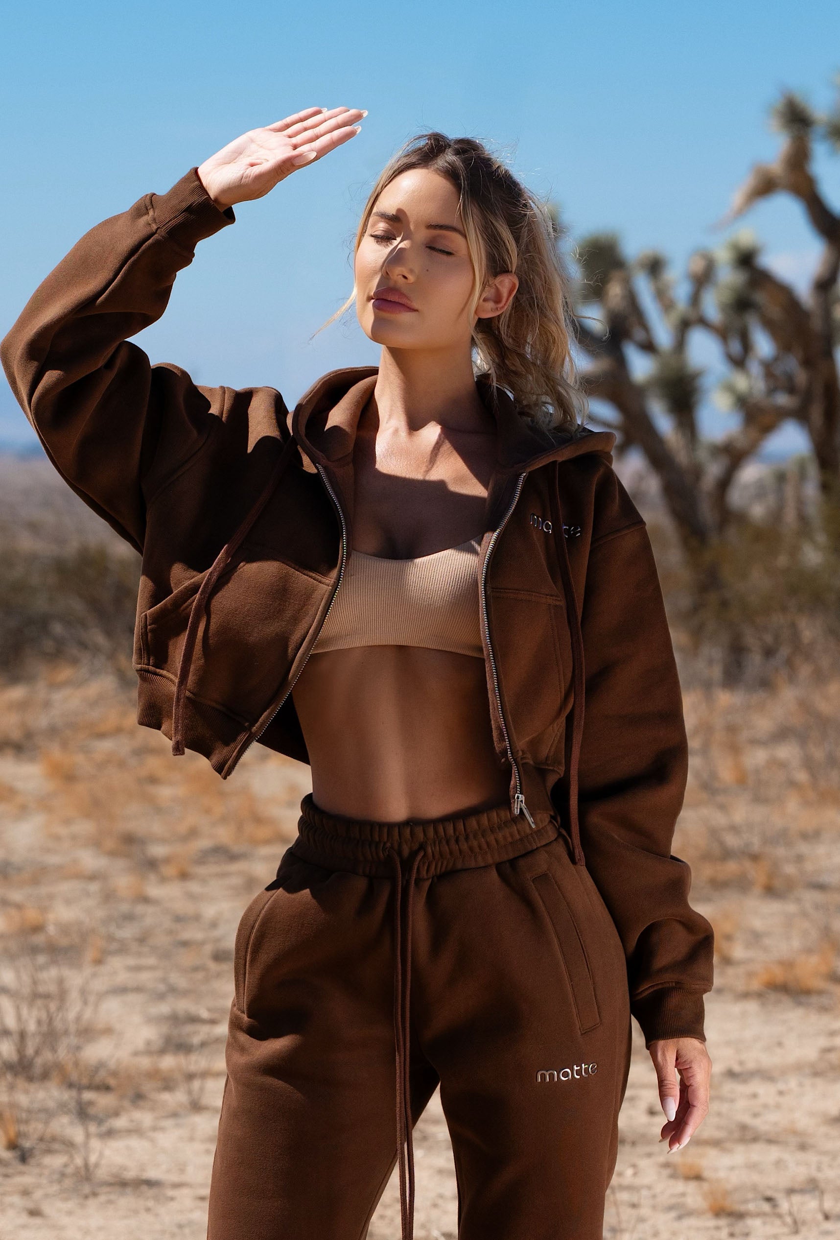 Staple Cropped Hoodie - Chocolate