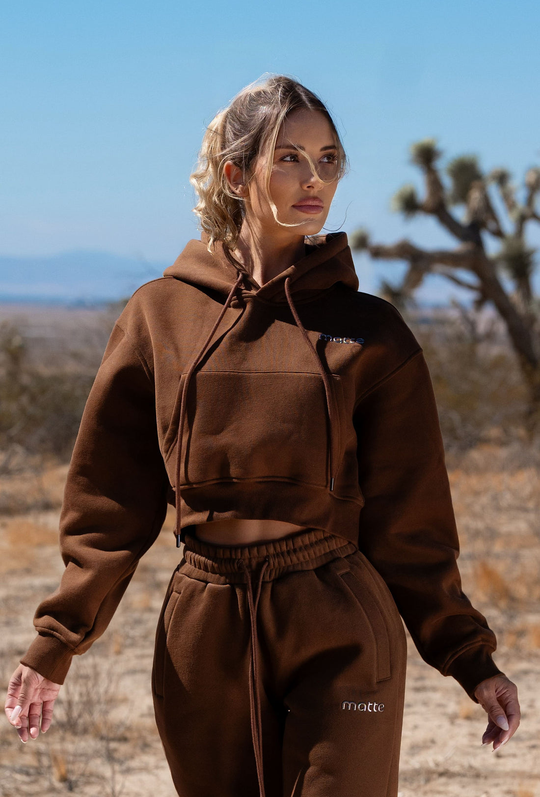 Staple Cropped Pullover Hoodie - Chocolate